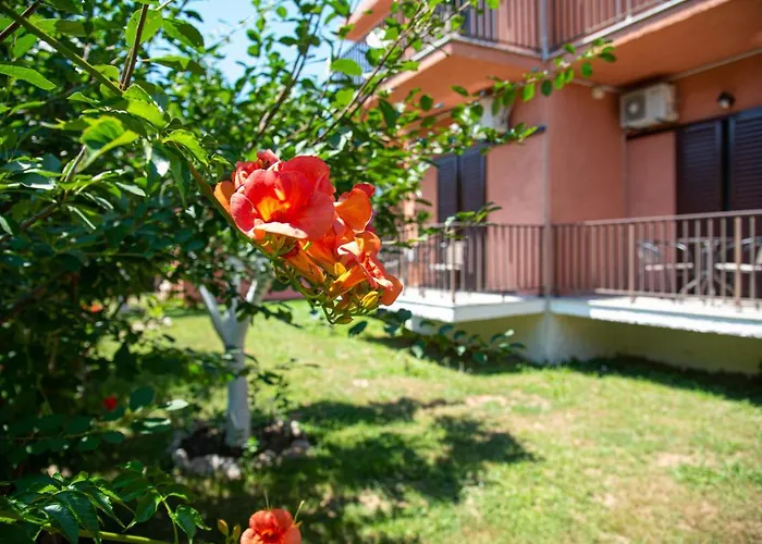 Apartament Costas *