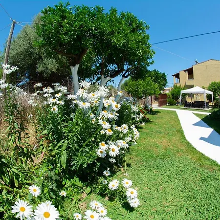 Costas شقة Mesongí